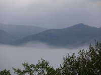 img (25)